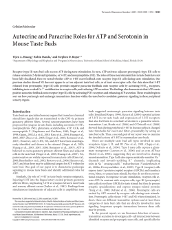 Autocrine and Paracrine Roles for ATP and Serotonin in Mouse