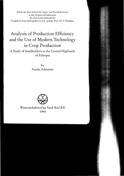 Analysis of Production Efficiency and the lJse of