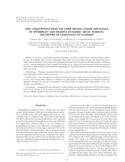 NEW GINKGOPHYTES FROM THE UPPER TRIASSIC&ndash;LOWER