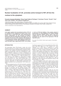 Nuclear localization of I&kappa;B&alpha; promotes active transport of NF