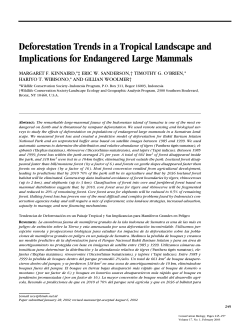 Deforestation Trends in a Tropical Landscape and Implications for