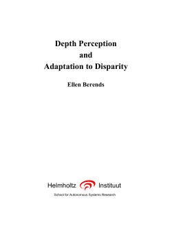 Depth Perception and Adaptation to Disparity