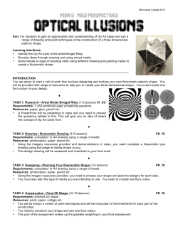 Optical Illusions - Mahurangi College