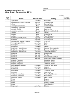 One Quart Perennials 2016