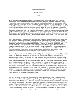 Then it really started in earnest. We heard at least 30 gobblers