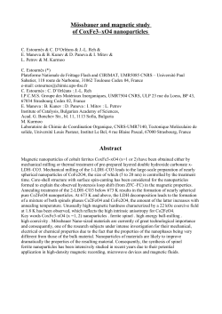 PDF (Author`s version)