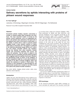 Salivary secretions by aphids interacting with proteins of phloem