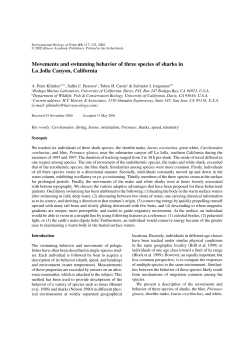 Movements and swimming behavior of three species of sharks in La