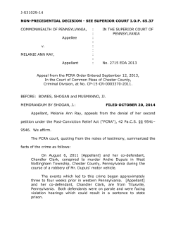 J-S31029-14 NON-PRECEDENTIAL DECISION