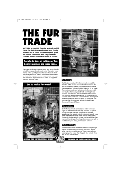 Fur Trade Factsheet
