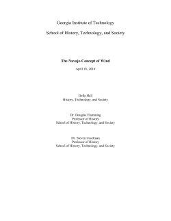 Georgia Institute of Technology School of