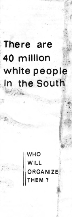 There are 40 Million White People in the South