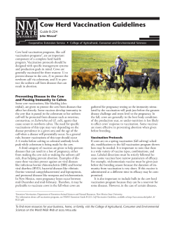 Cow Herd Vaccination Guidelines