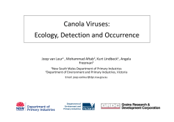 Canola Viruses - IPM Guidelines For Grains