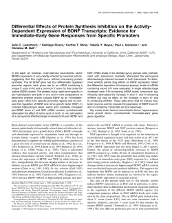 Differential Effects of Protein Synthesis Inhibition on the Activity