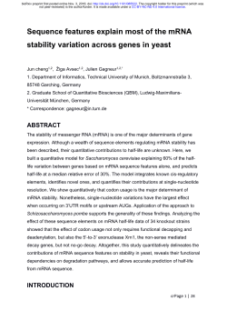 Sequence features explain most of the mRNA stability