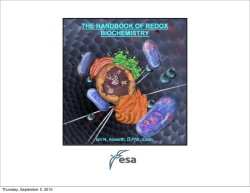 Thursday, September 2, 2010