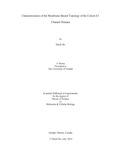 Characterization of the Membrane-Bound Topology of