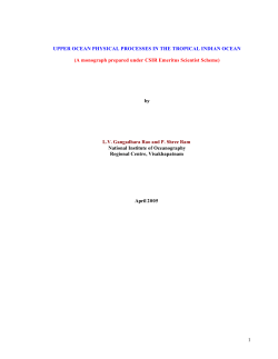 as a PDF