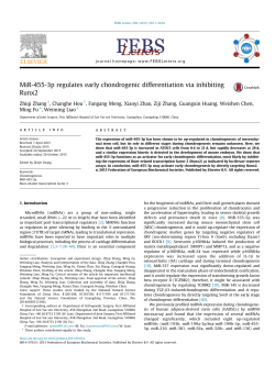 MiR4553p regulates early chondrogenic differentiation via inhibiting