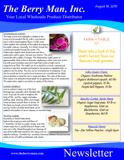 Newsletter - The Berry Man
