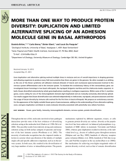 MORE THAN ONE WAY TO PRODUCE PROTEIN DIVERSITY