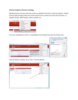 Internet Explorer Browser Settings