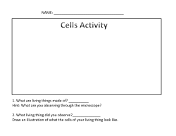 NAME: 1. What are living things made of? ______ Hint: What are