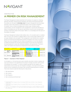A PRIMER ON RISK MANAGEMENT