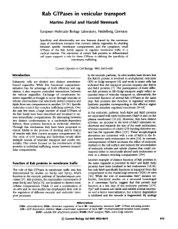 Rab GTPases in vesicular transport