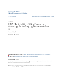 TB62: The Suitability of Using Fluorescence Microscopy for Studying