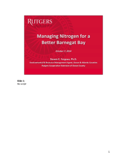 Managing Nitrogen for a Better Barnegat Bay (script)