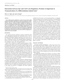 Interaction between Sp1 and Cell Cycle Regulatory Proteins Is