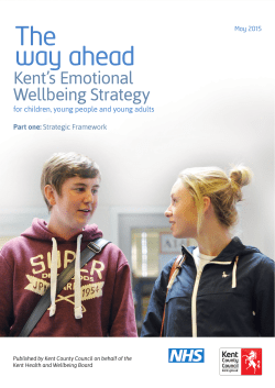Emotional Wellbeing Strategy part 1