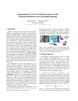Segmentation of Low-Level Motion Features to Infer Occlusion