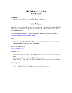 Life Science &ndash; Grade 4 Life Cycles