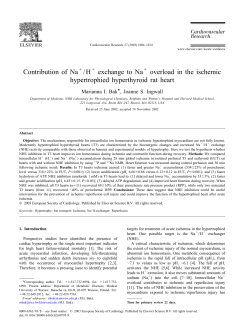 C ontribution of Na /H exchange to Na overload in the ischemic