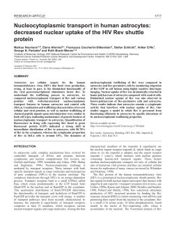 Rev trafficking in astrocytes - Journal of Cell Science