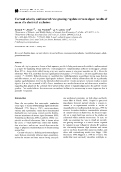 Current velocity and invertebrate grazing regulate stream algae
