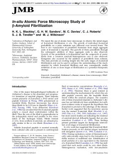 In-situ Atomic Force Microscopy Study of &beta;