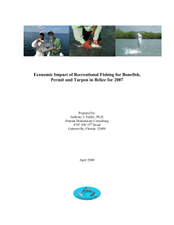 Belize Recreational Fishing Economic Impact Report