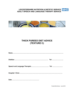 Thick Puree Diet