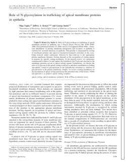 Role of N-glycosylation in trafficking of apical membrane proteins in