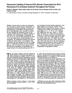 Fluorescent Labeling of Nascent RNA Reveals Transcription by
