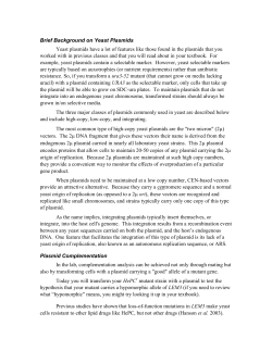 Plasmid Complementation