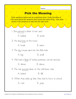 Pick the Meaning