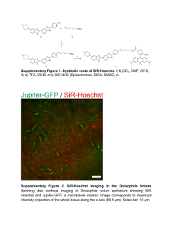 Supplementary Figure 1. Synthetic route of SiR