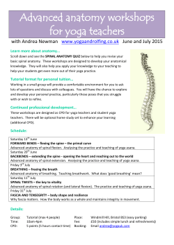 Advanced anatomy workshops for yoga teachers