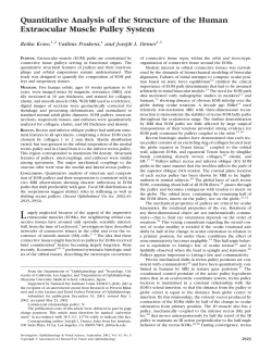 Quantitative Analysis of the Structure of the Human