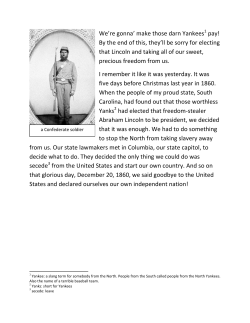 1 Confederate soldier 1.0